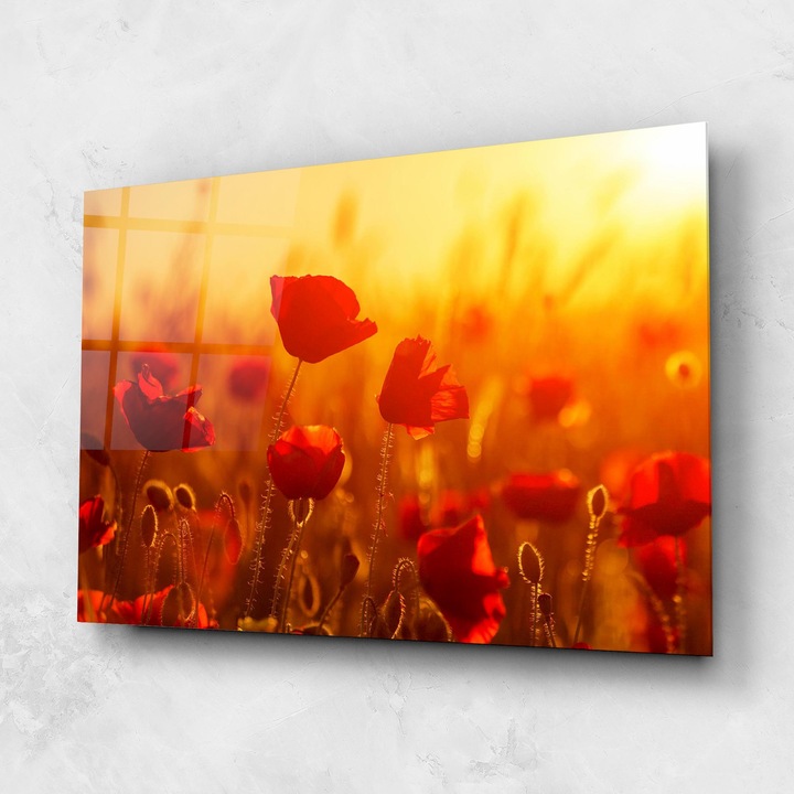 ARTHUB, Стъклена картина 60x80cm, Спалня и Дневна, цветя, макове, Red Poppies Field