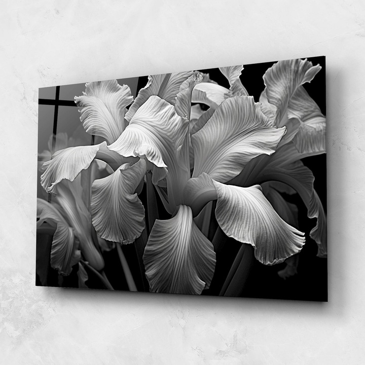 Tablou Sticla, 50x70cm, Dormitor si Living, Moderne, Alb Negru, Grey On Black Iris