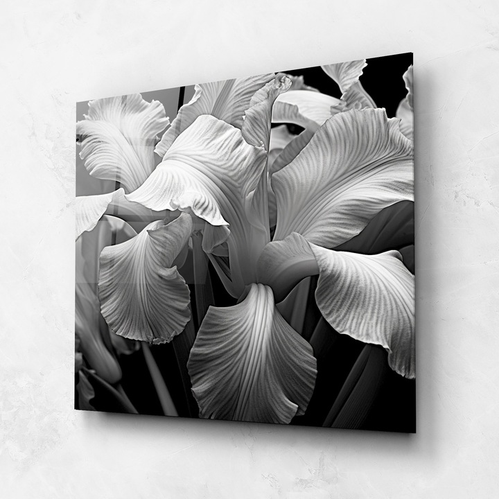 Tablou Sticla, 100x100cm, Dormitor si Living, Moderne, Alb Negru, Grey On Black Iris