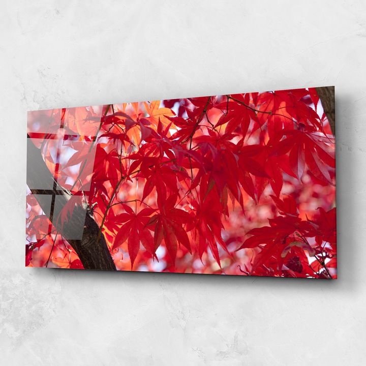 Arthub, Üvegkép, 60x150cm, Hálószoba és Nappali, Tájképek, Ősz, Pretty Red Leaves
