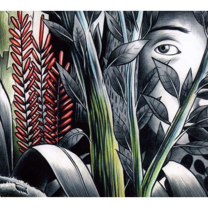 Dominique A - Vers Les Lueurs (CD)