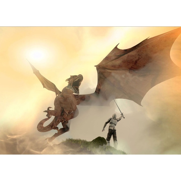 Fototapet Copii, autoadeziv, Cavaler si Dragon, multicolor, 120x200 cm CO240