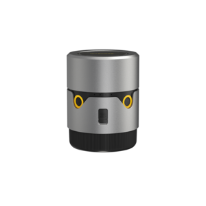 Articole daunatori gradina