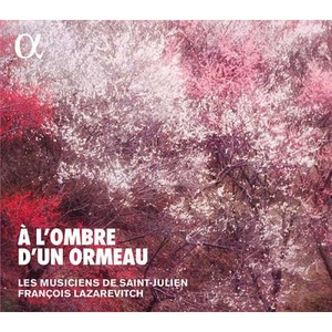 Vinyl-uri si cd-uri muzica