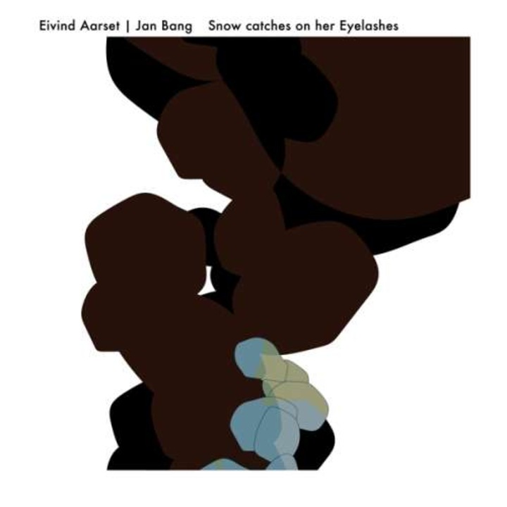 Eivind & Jan Bang Aarset - Snow Catches On Her.. (CD)