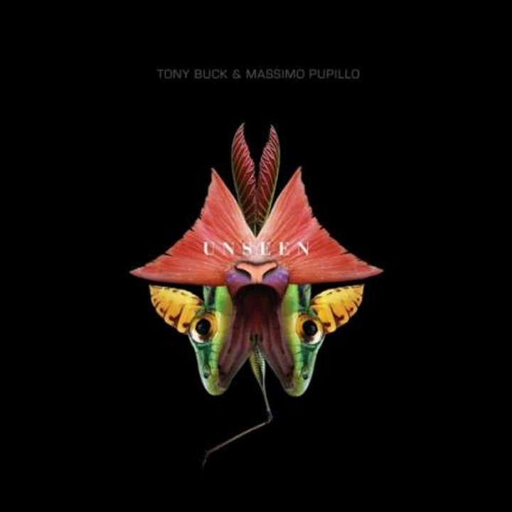Tony & Massimo Pupi Buck - Unseen (CD)