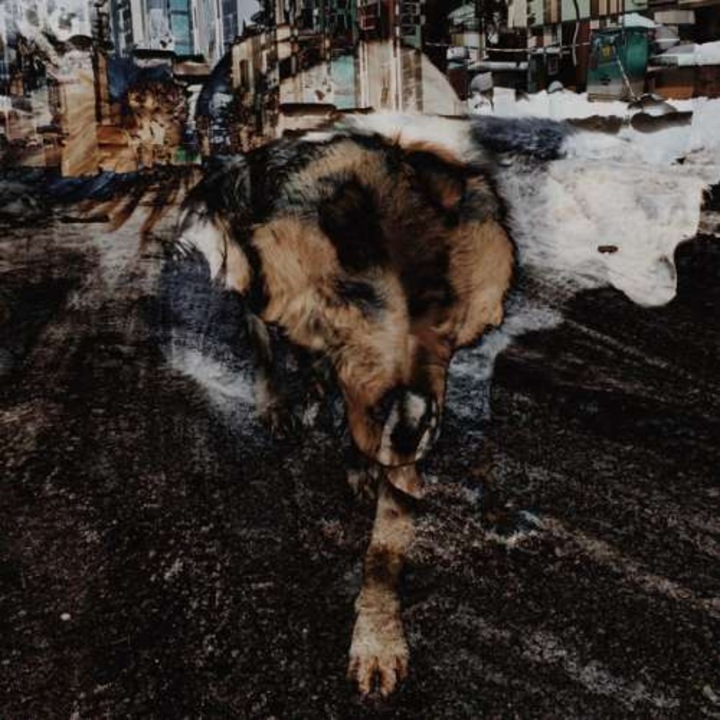 Joe + Naiare Volk - Primitive Energetics (CD)