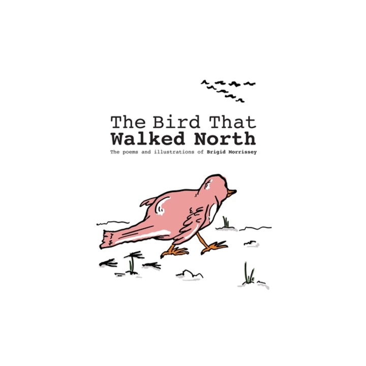 The Bird That Walked North, Brigid Morrissey
