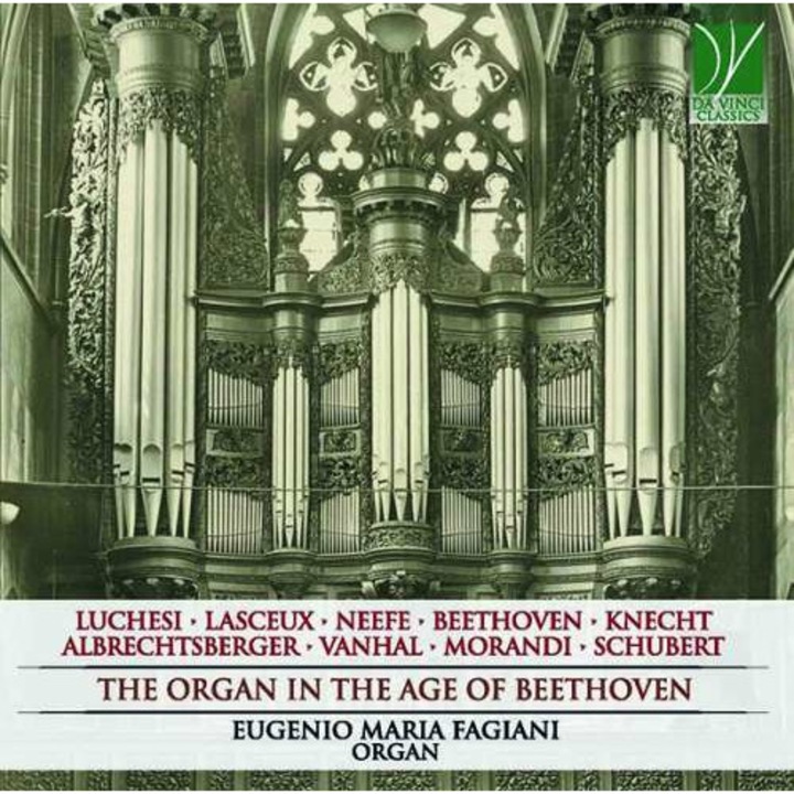 Eugenio Maria Fagiani - Organ In the Age of.. (CD)