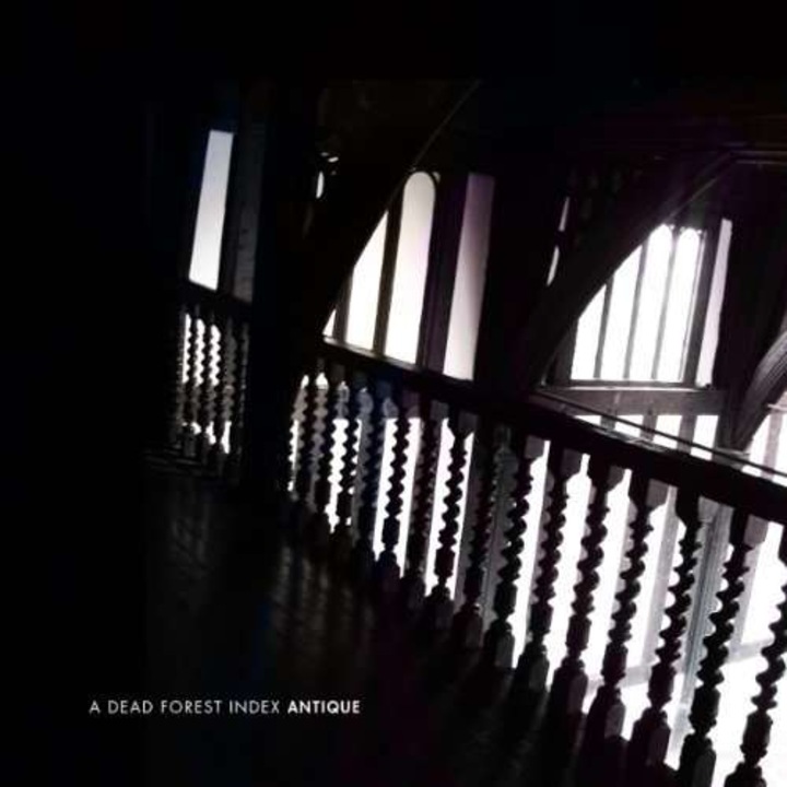 A Dead Forest Index - "Antique -10"-" (LP)