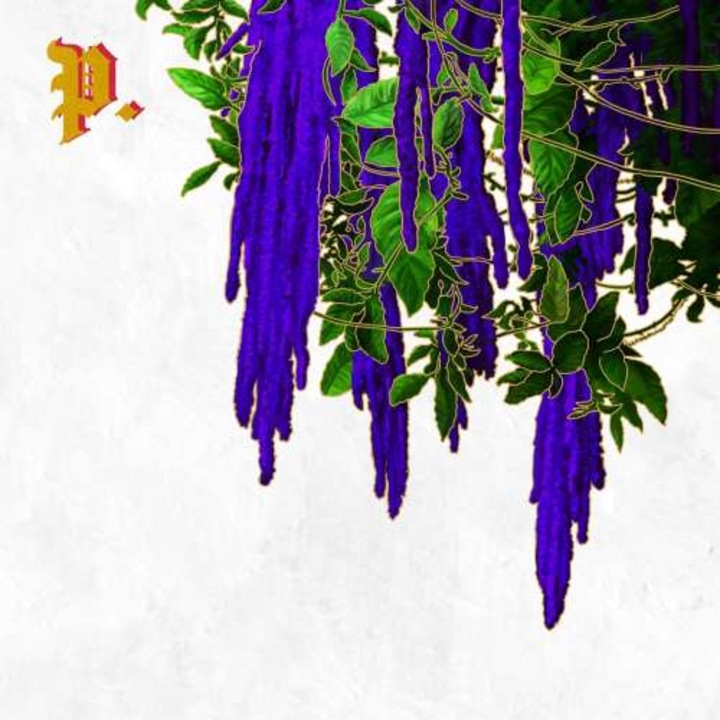 Proper - Great.. -coloured- (LP)