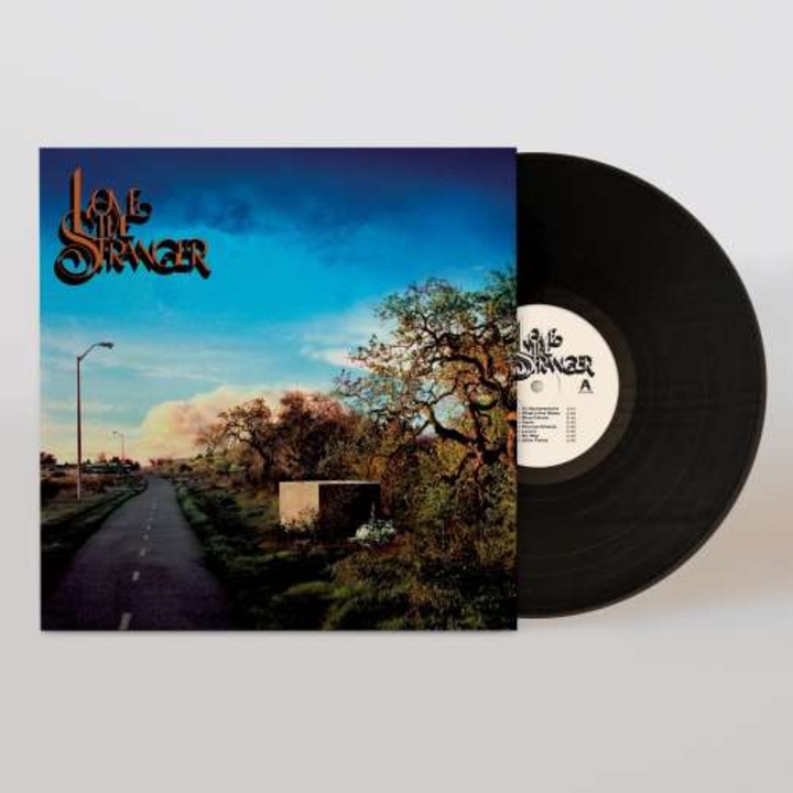 Friendship - Love The Stranger (LP)