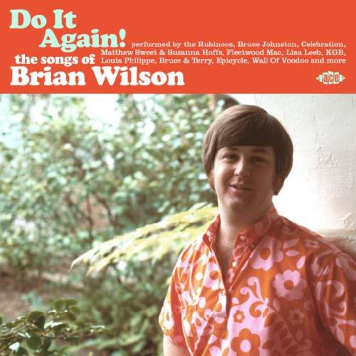 Brian Wilson - Do It Again! - The Songs Of Brian Wilson (CD)