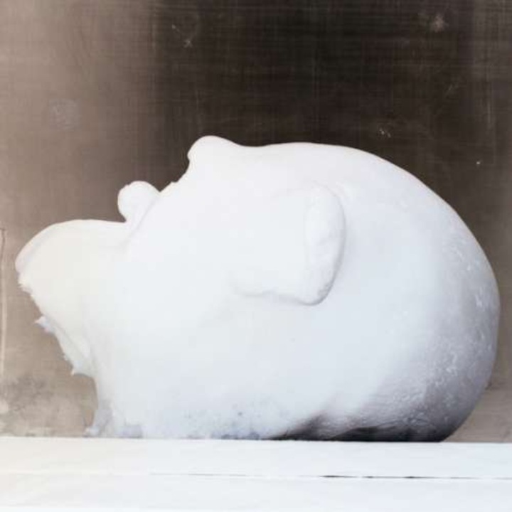 Laurie Tompkins - Fatty (CD)