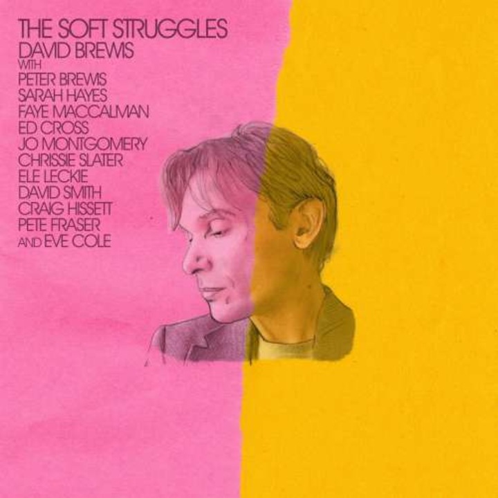 David Brewis - Soft Struggles (CD)