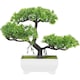 Bonsai decorativ artificial in ghiveci, Verde, 29 cm