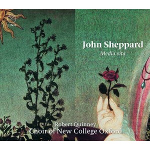 Vinyl-uri si cd-uri muzica