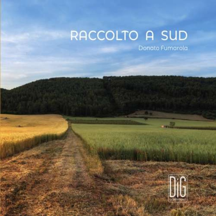 Liuzzi / Fumarola / Punti - Fumarola:raccolto A Sud (CD)