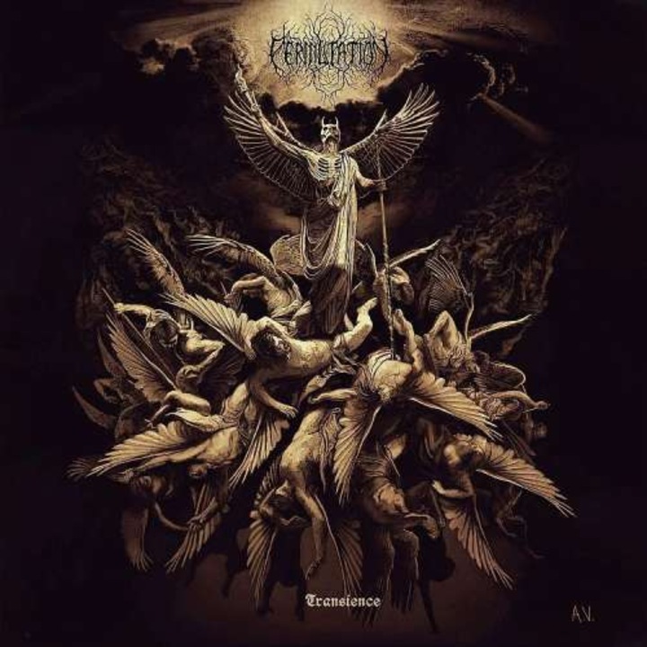 Permutation - Transience (LP)