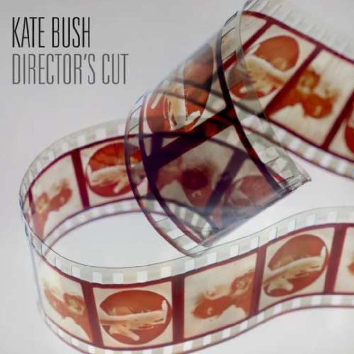 Kate Bush - Director's Cut (LP)