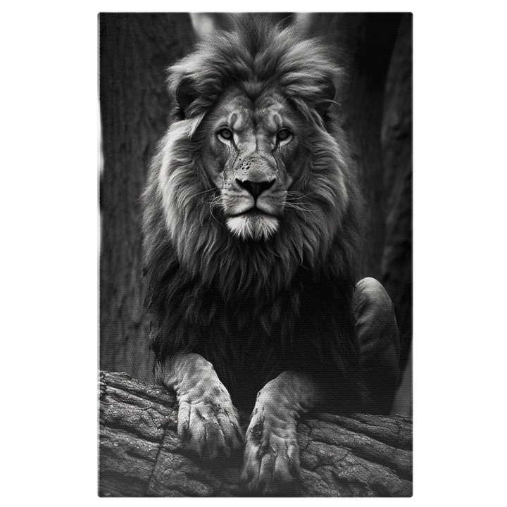 Tablou Canvas: Leu stand pe un trunchi de copac - regele junglei b&w Pictura Digitala 60x40CM