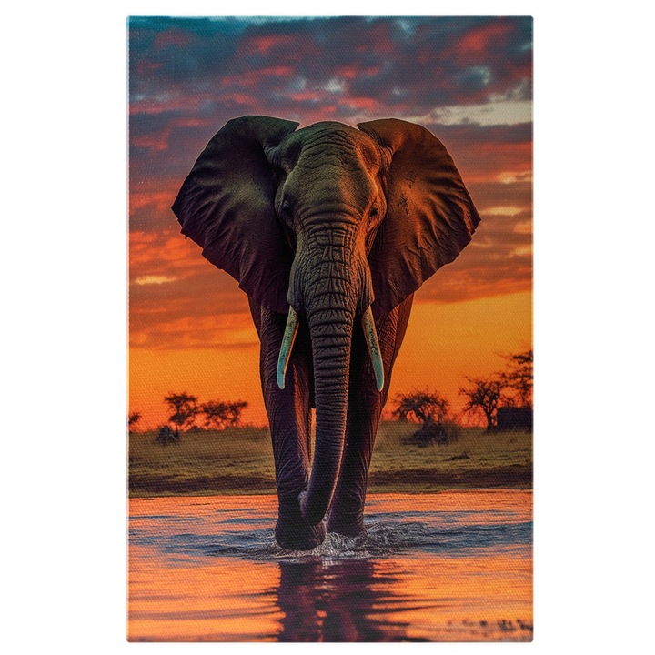 Tablou Canvas: Fotografie cu un elefant la apusul soarelui - bland apa Pictura Digitala 90x60CM