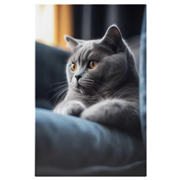 Tablou Canvas: O pisica British Shorthair pe canapea - lene Pictura Digitala 100x70CM