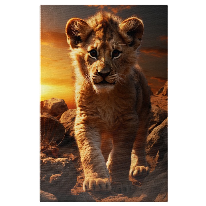 Tablou Canvas: Un pui de leu pe niste pietroaie - singur apus Pictura Digitala 60x40CM