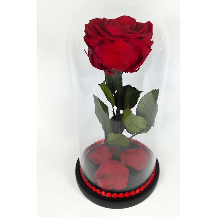 Trandafir criogenat Premium rosu in cupola de sticla, 25 cm