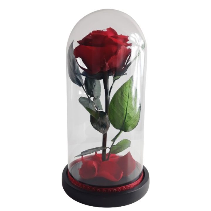 Trandafir criogenat premium rosu in cupola de sticla, blat din lemn negru, 25x12 cm