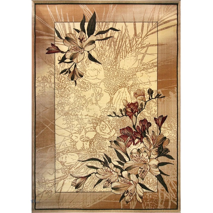 Модерен килим, Home Vista, Lotos 1563, Cream, 80x150 см