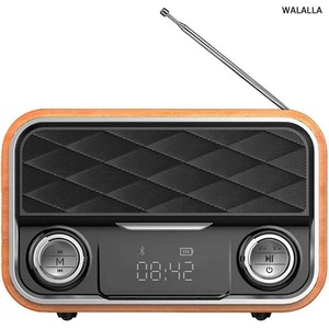 Radio cu ceas & portabile