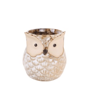 Ghivece si suporturi