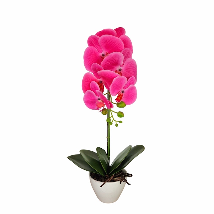 Orhidee cu aspect natural in ghiveci ceramic, 46 cm, Naimeed D5820, Mov