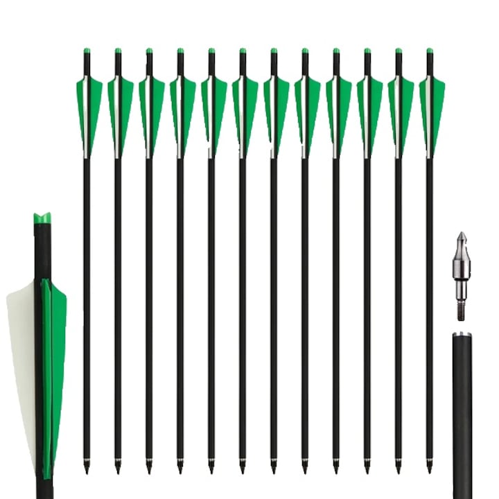 Set 12 sageti din carbon, varfuri detasabile, 20 inch, verde/negru
