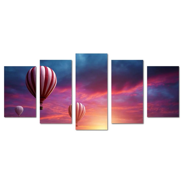 Tablou canvas Intelli®, Decoratiuni moderne pentru Living, Dormitor, Baloane, M1427, 120x275 cm