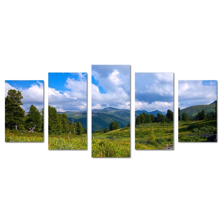 Tablou canvas Intelli®, Decoratiuni moderne pentru Living, Dormitor, Mountains, M1425, 120x275 cm