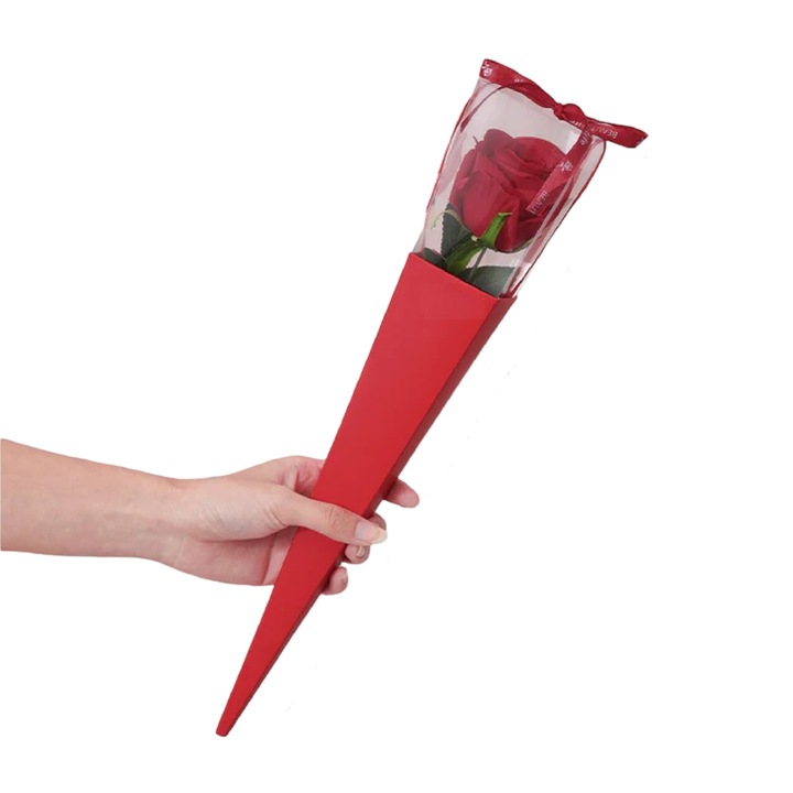 Örökrózsa doboz GRSCIA-SV, Virágok, Piros/Átlátszó, Piros, 35 cm, 1 db