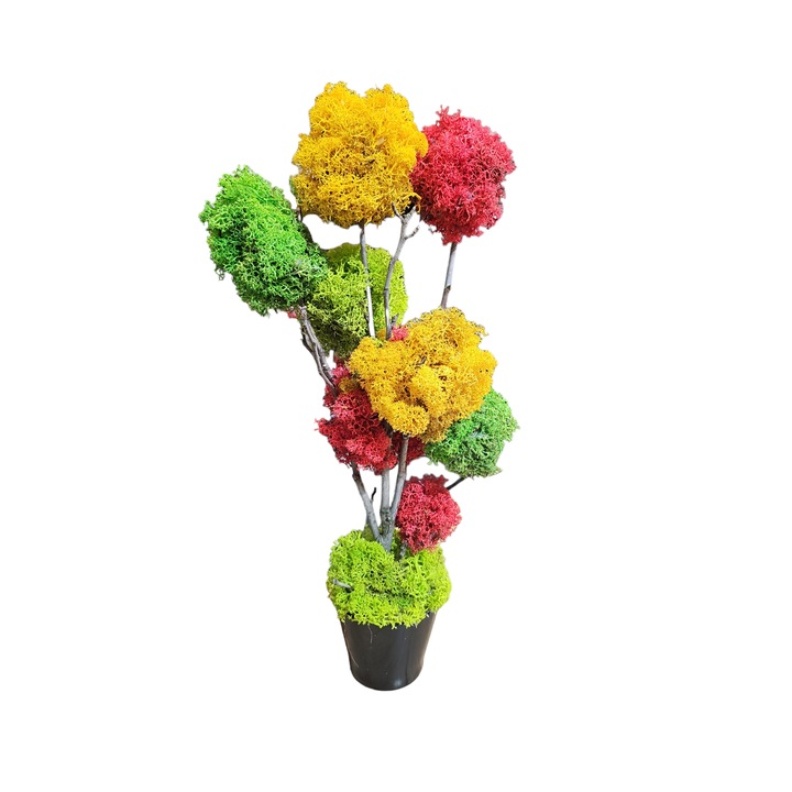 Stabilizált zuzmófa, magassága 48 cm