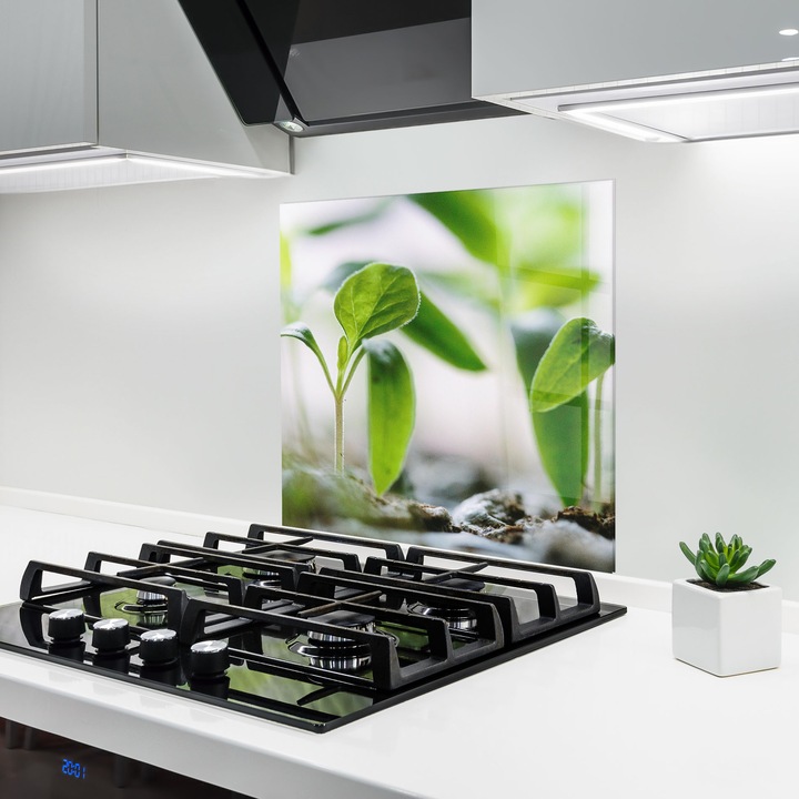 Panou Sticla Bucatarie, 60x60 cm, Protectie aragaz, Antistropi, Termorezistent, Feng-shui, Natura, Pretty Green Plant