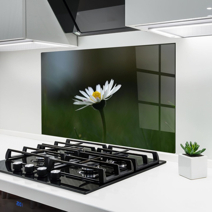 ARTHUB, Konyhai üveg hátfal 50x70 cm, 5 mm edzett, Védő gáz­tűzhely, Fröccsenésgátló, Hőálló, virágok, margaréták, Garden Daisy
