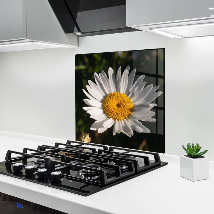 ARTHUB, Стъклен панел за кухня 100x100 cm, 5 мм закалено, Предпазител за газов котлон, Предпазител от пръски, Топлоустойчив, цветя, маргаритки, Daisy Enjoying The Sun