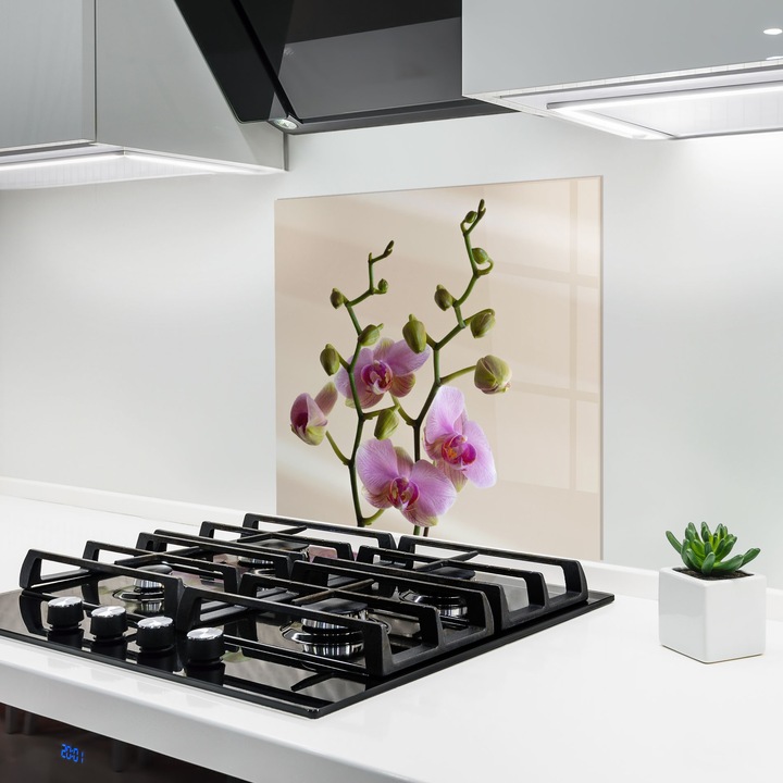 ARTHUB, Konyhai üveg hátfal 100x100 cm, 5 mm edzett, Védő gáz­tűzhely, Fröccsenésgátló, Hőálló, virágok, orchideák, Purple Orchid On Cream