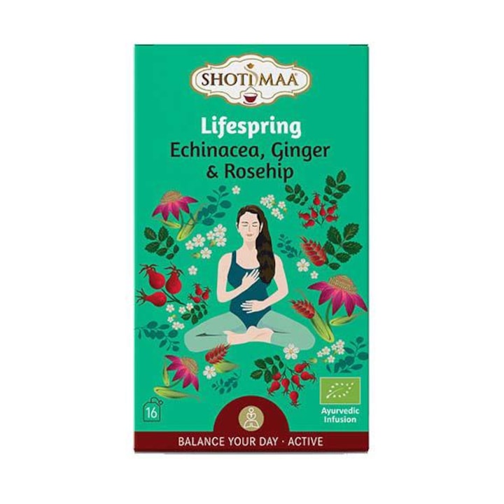 Tea Balance Your Day Lifespring Echinacea gyömbér és mák Eco 16 adag Shotimaa