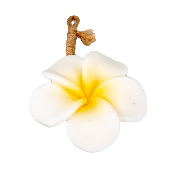 Sapun Parfumat Natural, Home Made, Orhidee, 135 g