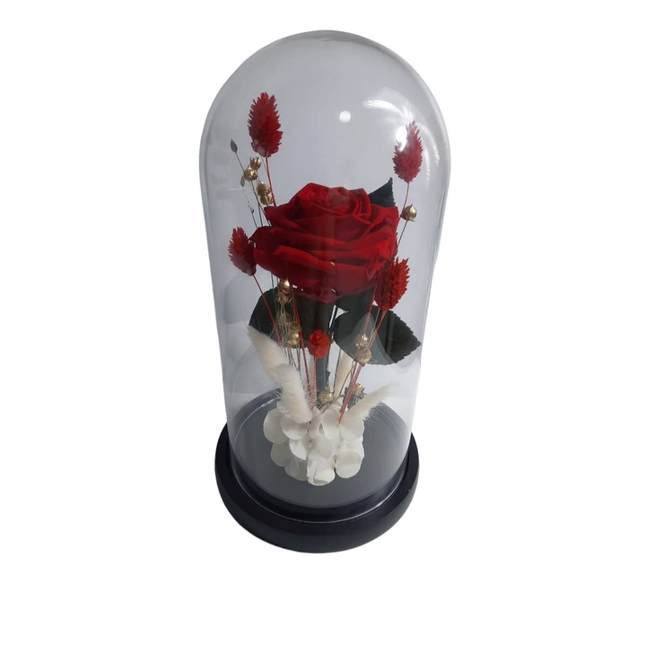 Trandafir criogenat rosu premium cu eucalipt in cupola de sticla