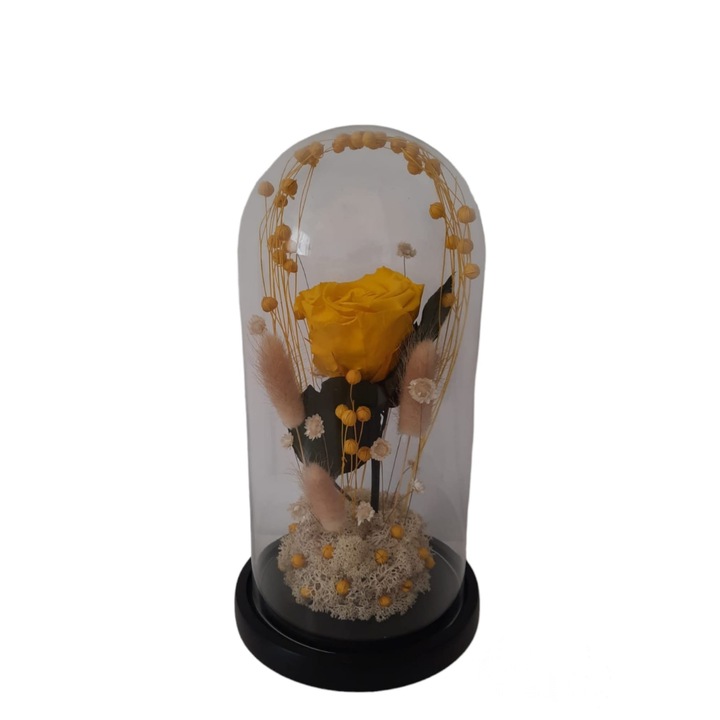Trandafir criogenat galben cu in si licheni in cupola de sticla