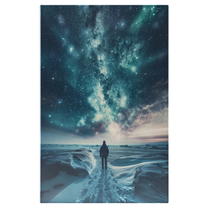 Tablou Canvas: Persoana cu Spatele la Camera Privind Cerul Instelat si Nuante de Albastru-Galaxii, Peisaj de Iarna Pictura Digitala 90x60CM