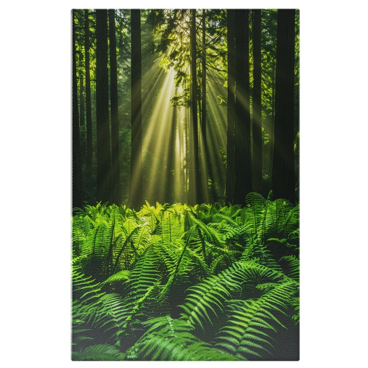 Tablou Canvas: Padure Tropicala cu Frunze Mari si Razele Soarelui Printre Copaci- Tonuri Verzi si Natura Pictura Digitala 60x40CM