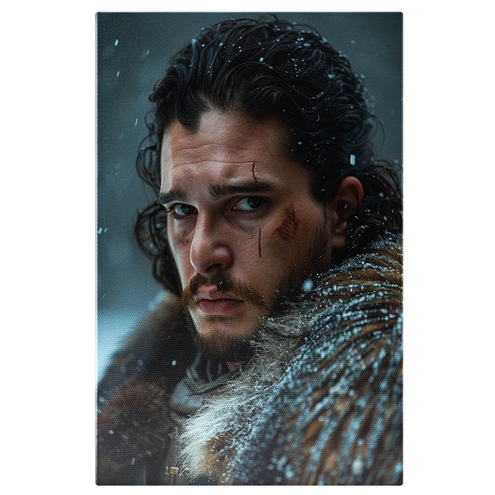Tablou Canvas: Game Of Thrones, Jon Snow cu Ochi Expresivi se Uita la Camera- Personaj de Filme si Seriale Pictura Digitala 40x25CM